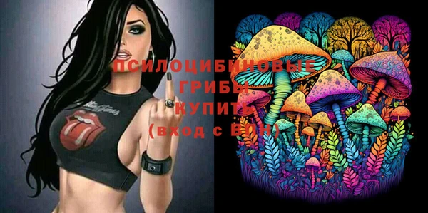 эйфоретик Алексин