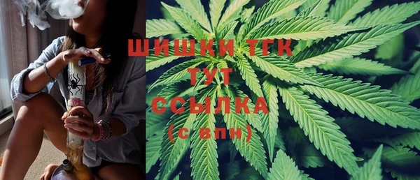 дмт Алзамай