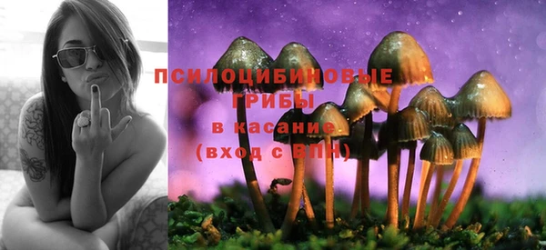 эйфоретик Алексин